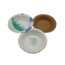 Biodegradable Paper Plate And Paper Bowl For Party