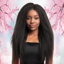 Wholesale Price Bleach Knots Kinky Straight Full Lace Wig Human Hair With Natural Hairline