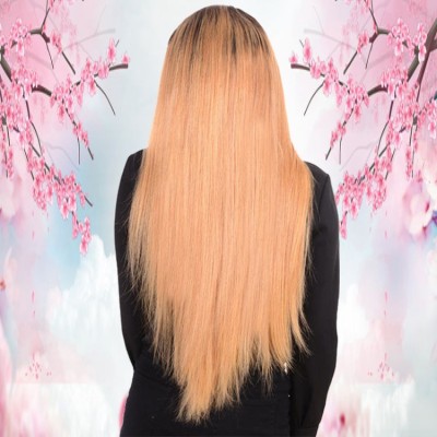 100% Peruvian Human Hair 180% Density 1b 27# Color Long Straight 24inch 13x4 Lace Front Wigs