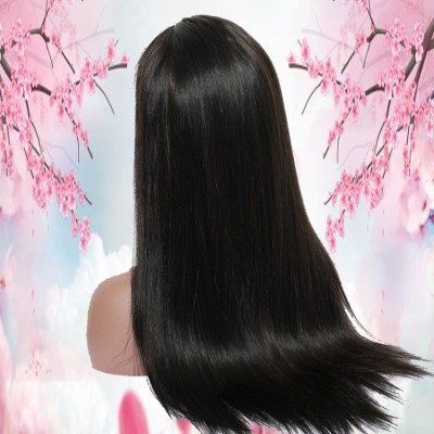 Whosale Price Natural Hairline Raw Virgin Brazilian Human Hair Silky Straight Full Lace Wig For Women
