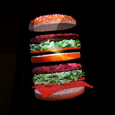 factory price 42cm advertising display 3d holographic led fan hologram advertising fan for gif mp4 video