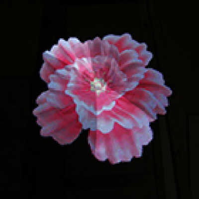 cheaper new arrival 8g tf card 42cm display picture video 3d hologram machine