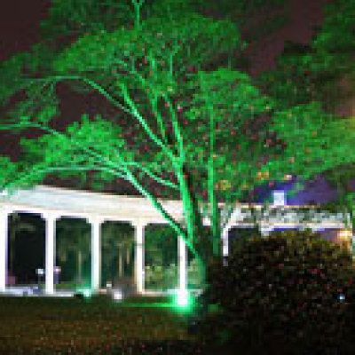 popular cheap moving effect firefly waterproof garden walmart laser christmas lights