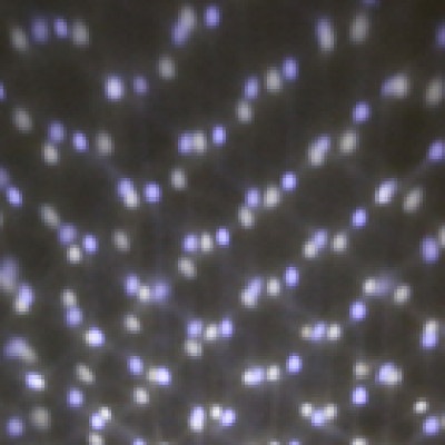 Hot sale snowflake led outdoor garden light