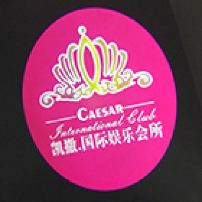 New items 15W silver case ceiling embedded static custom logo projector light