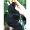 Body Wave Hair Bundle One Bundle Deal