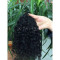 Deep Curly Hair Bundle One Bundle Deal