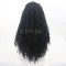Synthetic Lace Front Wig With Natural Hairline NO.48