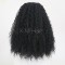 Synthetic Lace Front Wig With Natural Hairline NO.61