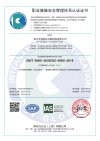 GB/T 45001-2020/ISO 45001:2018