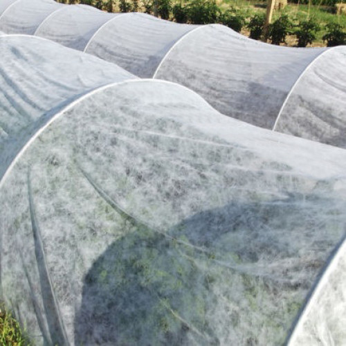OUR NEW PRODUCT-SPUNBOND NON-WOVEN FABRIC
