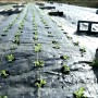 Farming Weed Control Fabric