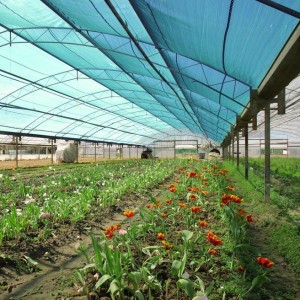 Agriculture and Flower Shade Cloth