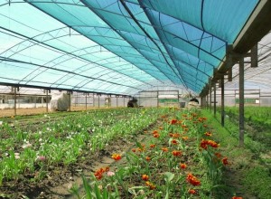Agriculture and Flower Shade Cloth