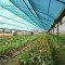 Agriculture and Flower Shade Cloth