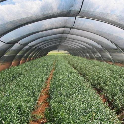 Greenhouse Shade Net