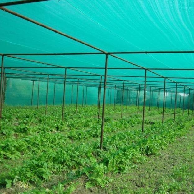 Shadow Mesh Sunshade Screen Shading Greenhouse Multi Span Garden Green  House Netting - China Aluminum Foil Shding Net, Shading Net