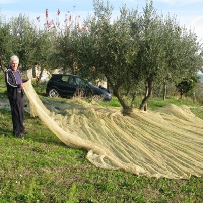 Harvest Collection Net