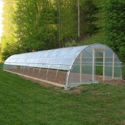 Greenhouse Film &Cover