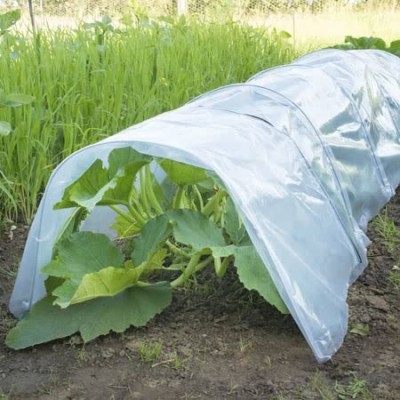 Greenhouse Film &Cover