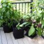 Plant Nursery Grow Bags