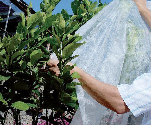 Plant Protection Fleece | Corp Protection | TAIMEI Tarpaulin Shade ...