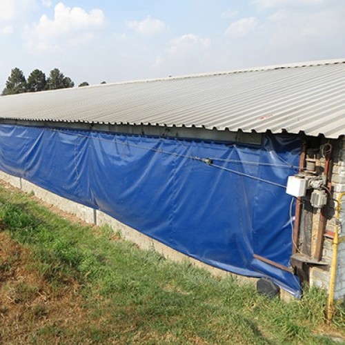 Poultry House Curtain/Poultry Side Curtain