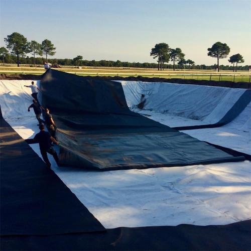 Geomembrane