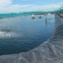 Geomembrane