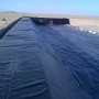 Geomembrane