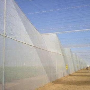 Rice Farm Anti-Insect Net
