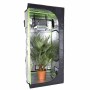 Greenhouse Plant Grow Tent