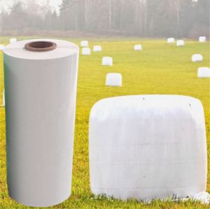 Silage Film