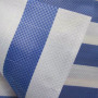 PP Coated Woven Fabric for Hand Bags