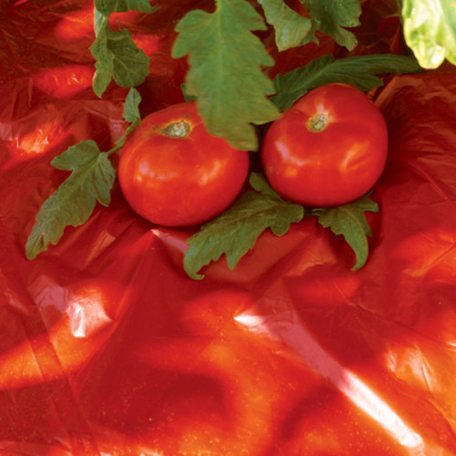 Plastic Mulch Film Cover Red Mulching Film for Strawberry Tomato