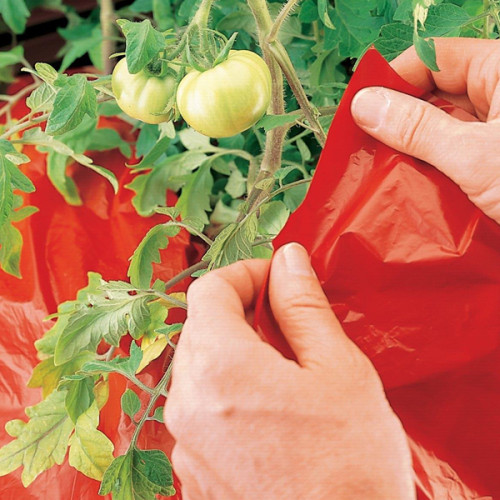 Plastic Mulch Film Cover Red Mulching Film for Strawberry Tomato