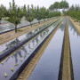 Biodegradable Black and Silver Plastic Agricultural Mulch Film