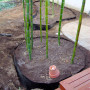 25'x24"-Heavy Duty Effective Easy Installing Bamboo Root Barrier Fence