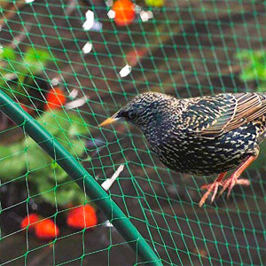 Bird Control Net