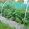 Bird Control Net