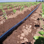 Irrigation Tarpaulin Hose