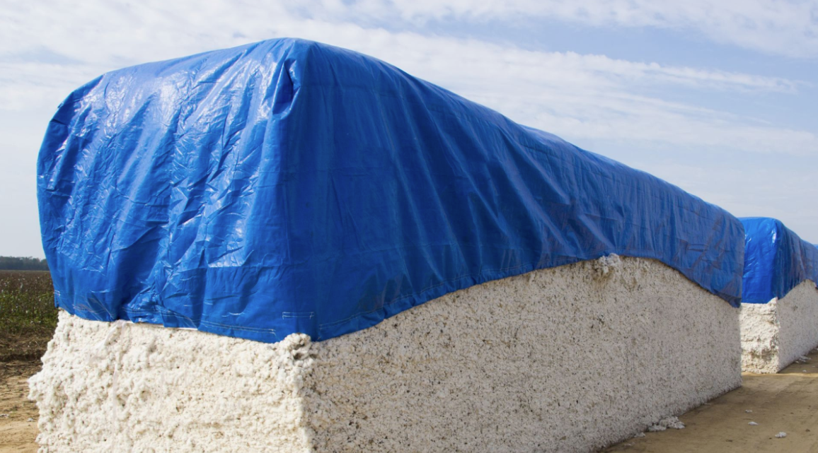 Tarpaulin