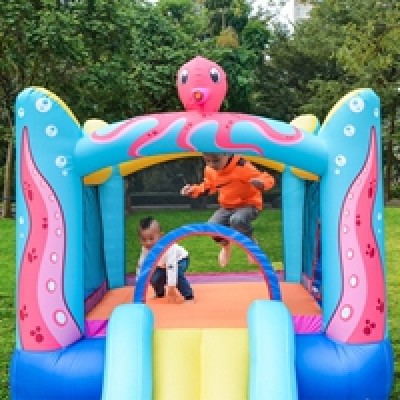 New Arrival Cheap Price Customized PVC Inflatable Octopus Slide Manufacturer from China