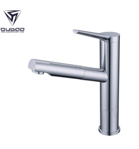 Chrome Single-Handle Pull-Out Kitchen Faucet with Dual Spray