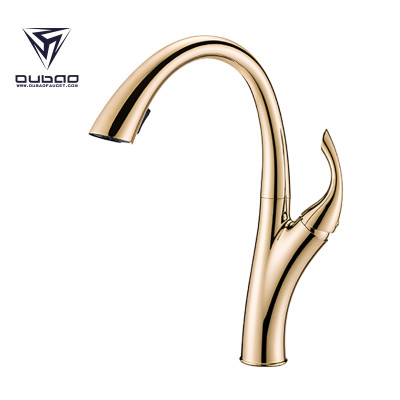 Tall Gold Pull Down Kitchen Faucet with One Handle