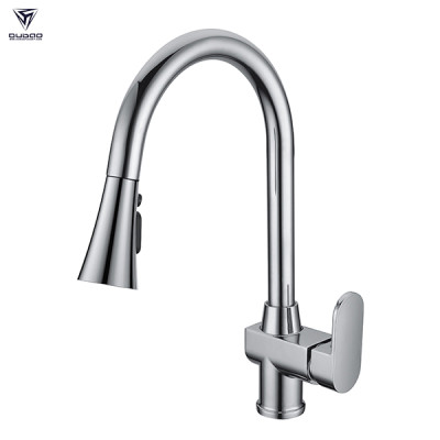OUBAO Contemporary Single Lever Handle Kitchen Faucet with Sprayer