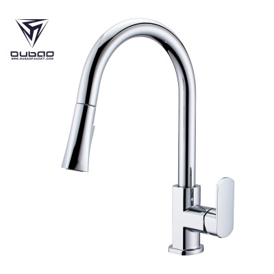 OUBAO Best Modern Kitchen Taps with Flexible Hose