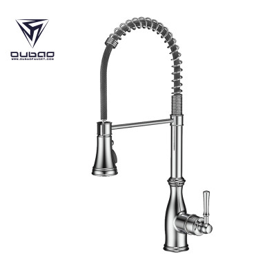 OUBAO Professional Spring Kitchen Sink Faucet With Sprayer