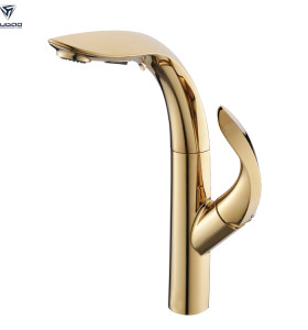OUBAO Gold Kitchen Sink Faucet with Pull out Sprayer Spout