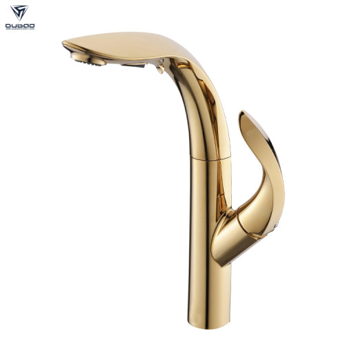 OUBAO Gold Kitchen Sink Faucet with Pull out Sprayer Spout